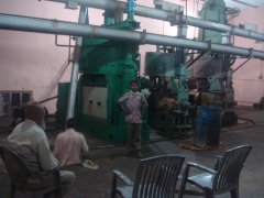 Oil Seed Extraction Plant in India